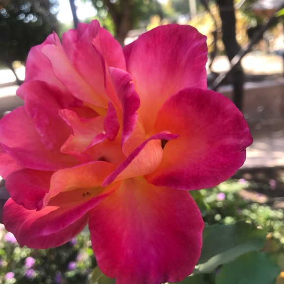 Meet Classic N Comfort - Picture 1 of 1